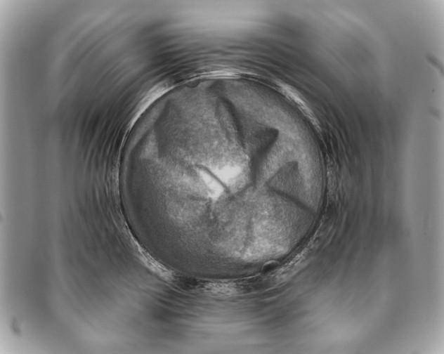 X0000096221194200802081518