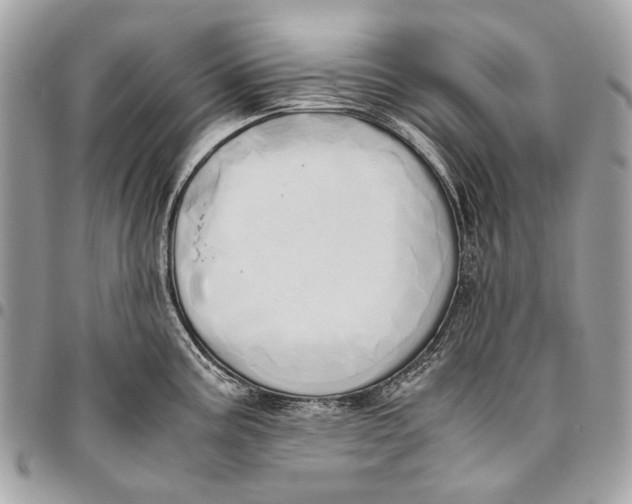 X0000096221195200802081518