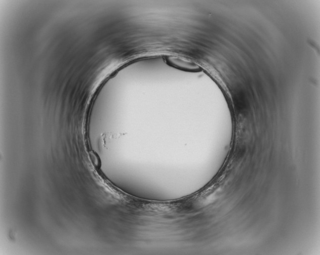 X0000096221197200802081518