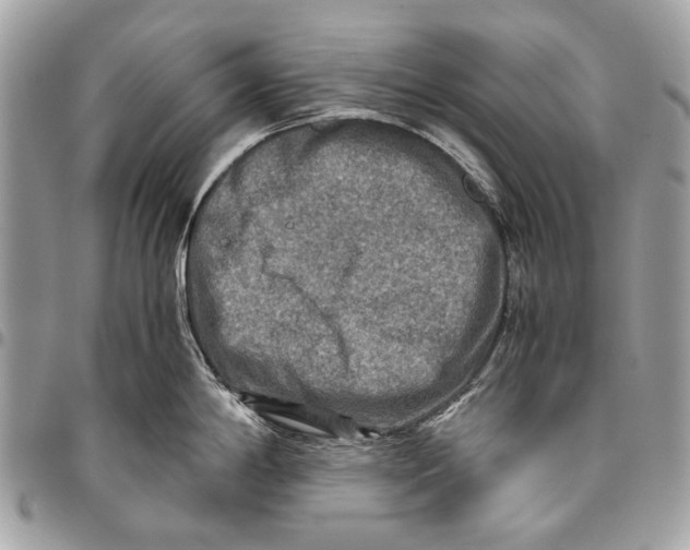 X0000096221198200802081518