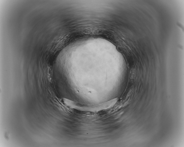 X0000096221202200802081517