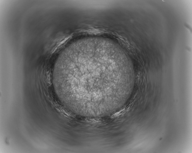 X0000096221205200802081517