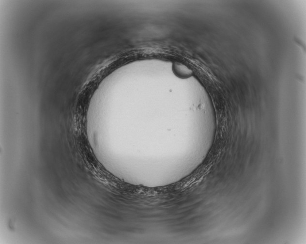 X0000096221207200802081517