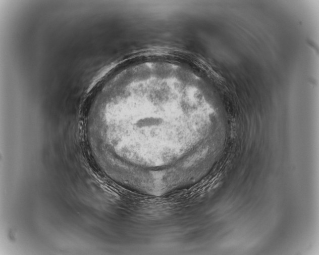 X0000096221208200802081517