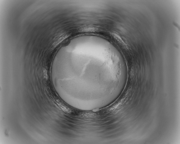 X0000096221209200802081517