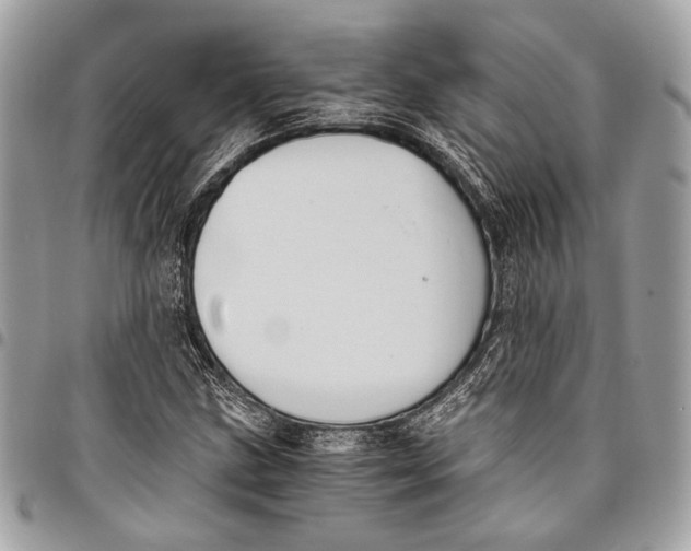 X0000096221211200802081517