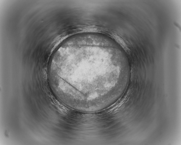 X0000096221212200802081517