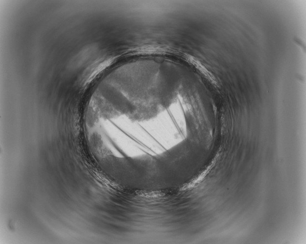 X0000096221213200802081517