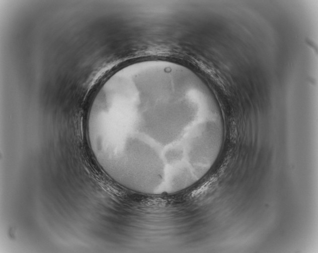 X0000096221214200802081517