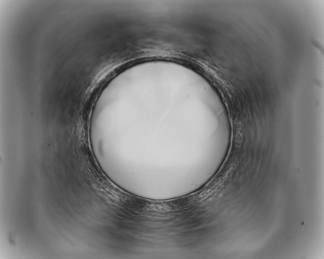 X0000096221215200802081517