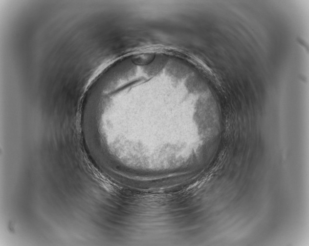 X0000096221216200802081518