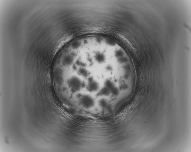 X0000096221218200802081518