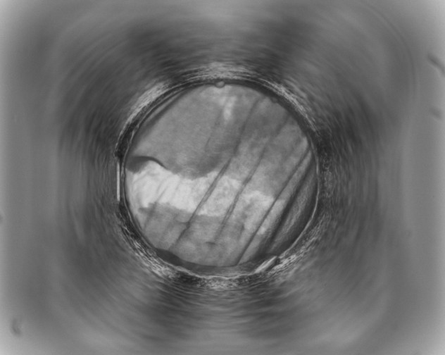 X0000096221219200802081518