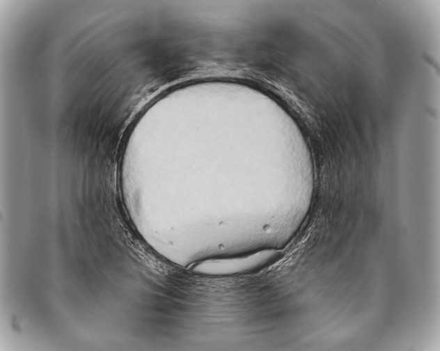 X0000096221220200802081518