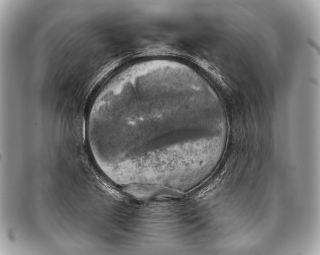 X0000096221221200802081518