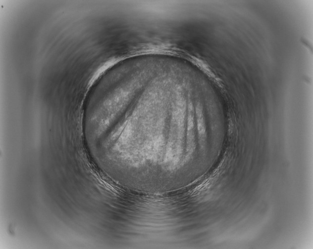 X0000096221222200802081518