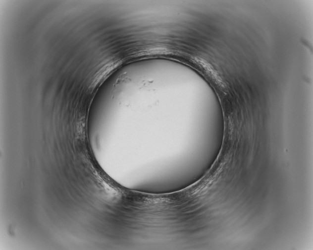 X0000096221225200802081518