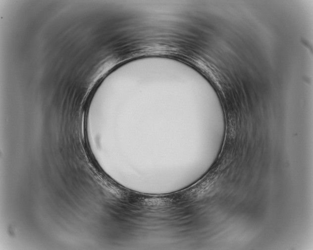 X0000096221227200802081518