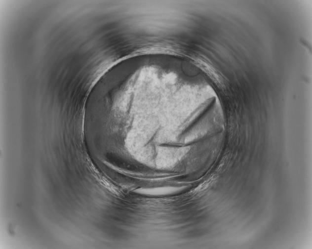 X0000096221228200802081518