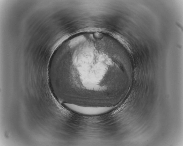 X0000096221229200802081518