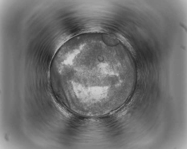 X0000096221234200802081518