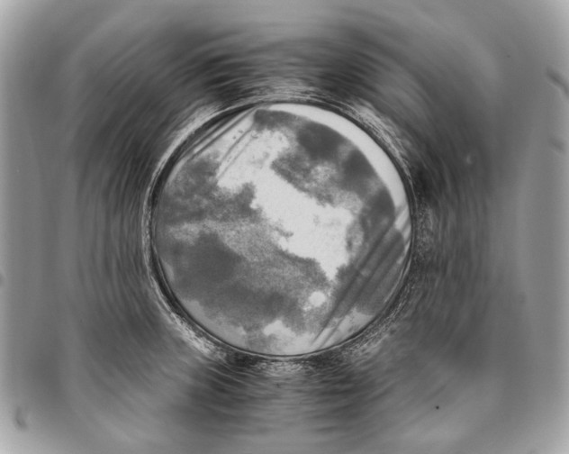 X0000096221235200802081518