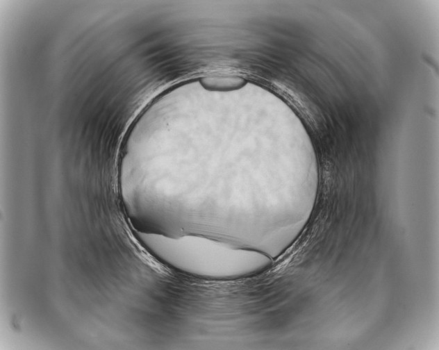 X0000096221236200802081518