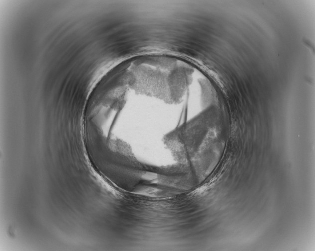 X0000096221239200802081518