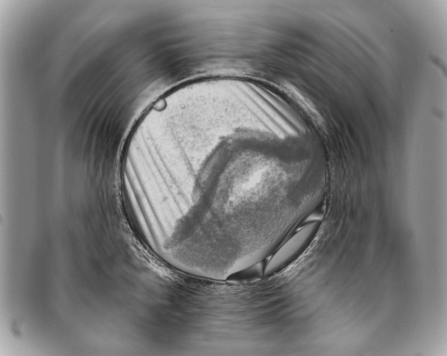 X0000096221240200802081518