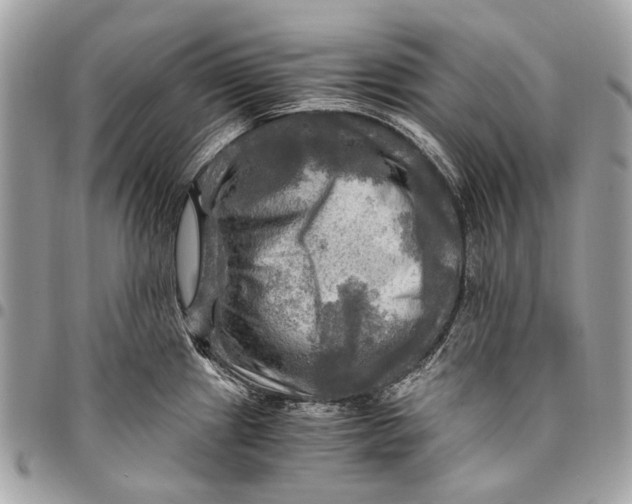 X0000096221241200802081518