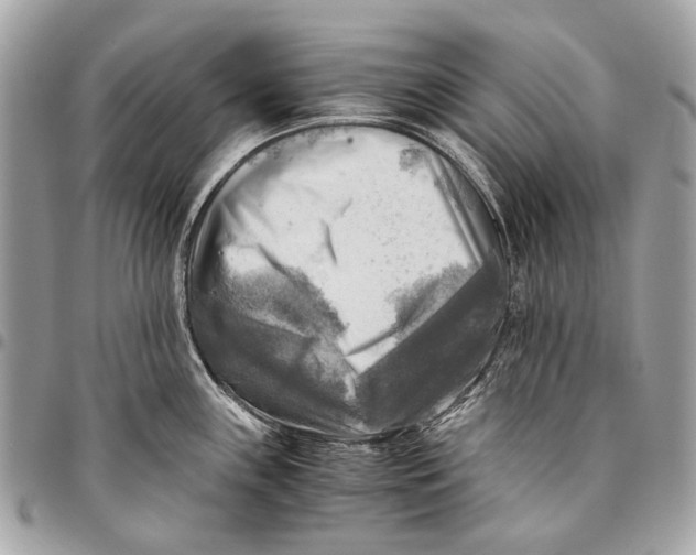 X0000096221243200802081518