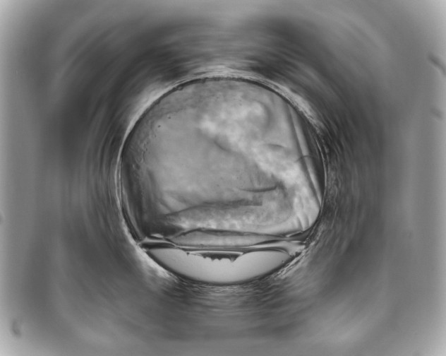 X0000096221247200802081518