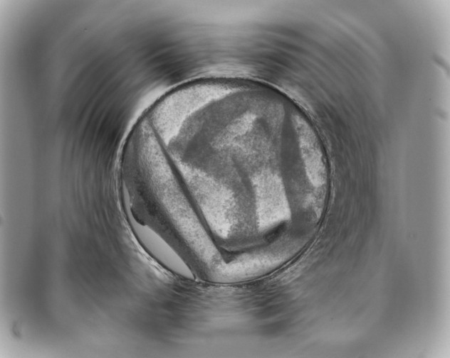 X0000096221248200802081518