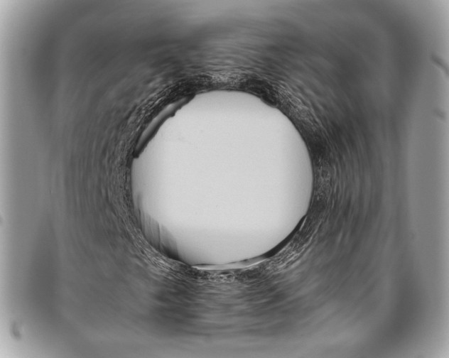 X0000096221249200802081517