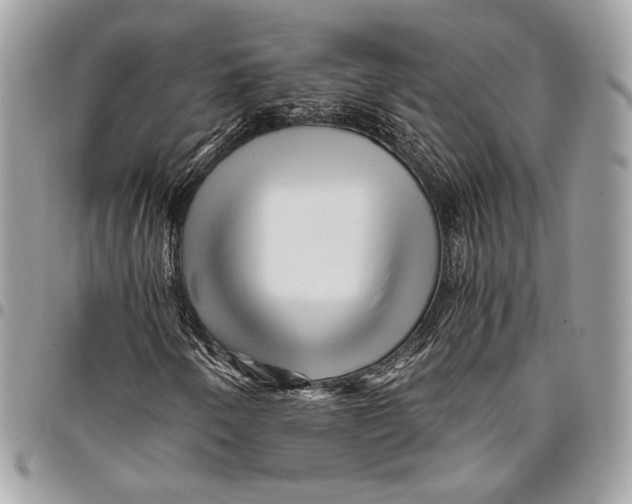 X0000096221250200802081517