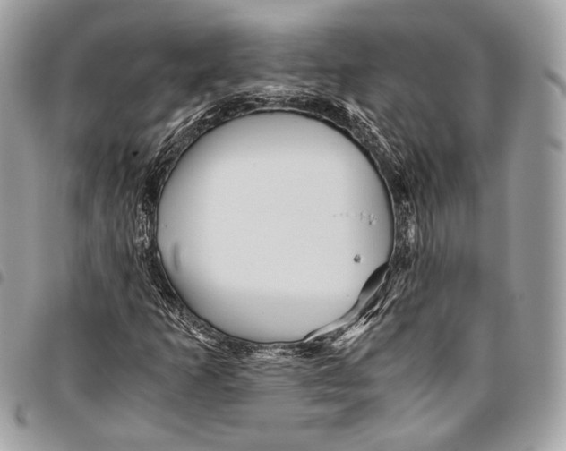 X0000096221253200802081517