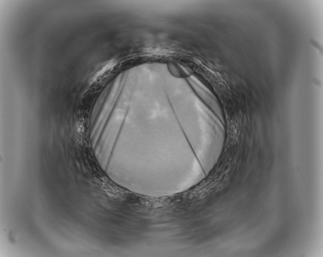 X0000096221254200802081517