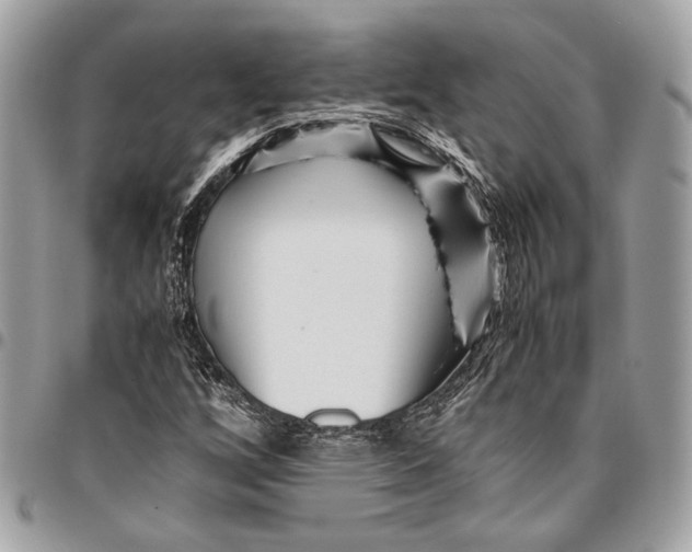 X0000096221256200802081517