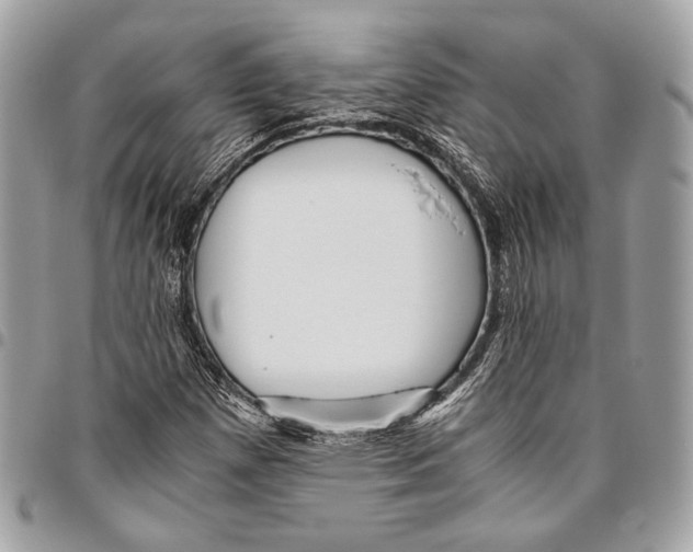 X0000096221257200802081517