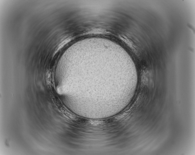 X0000096221258200802081517