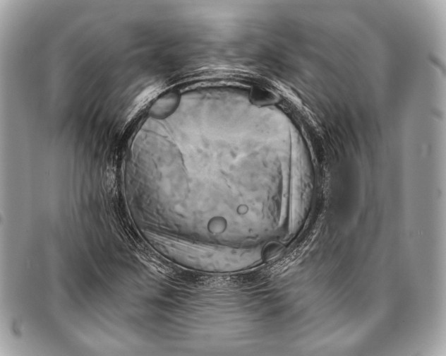 X0000096221259200802081517