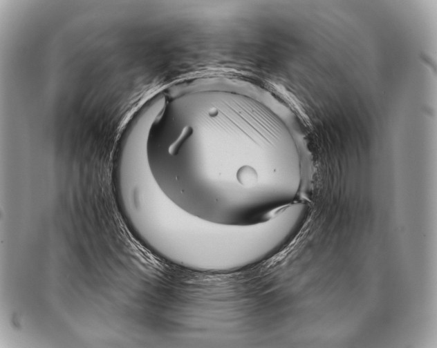 X0000096221260200802081517