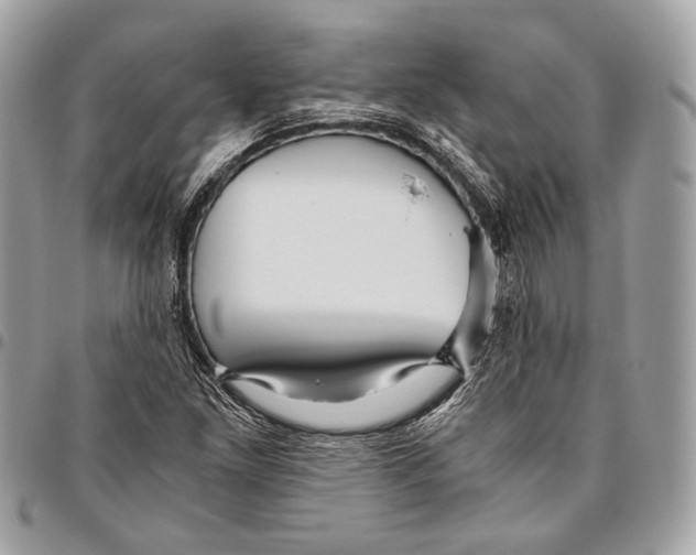 X0000096221261200802081517