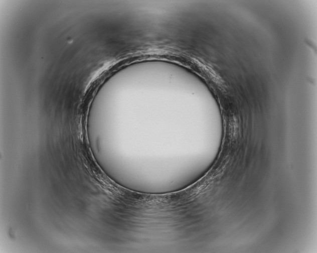 X0000096221262200802081517