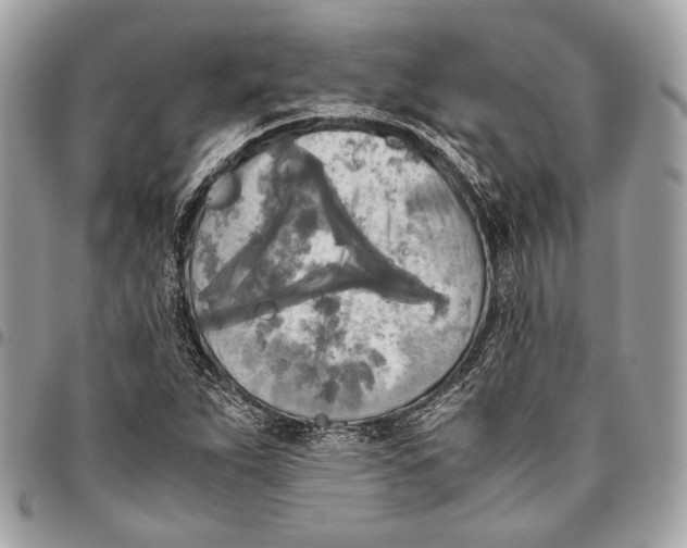 X0000096221263200802081517