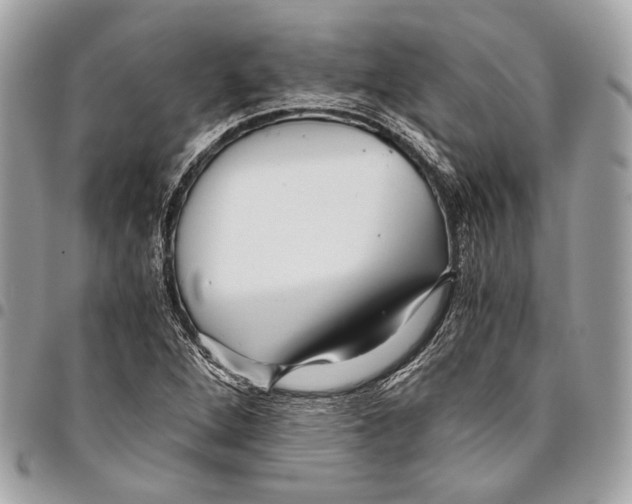 X0000096221264200802081517