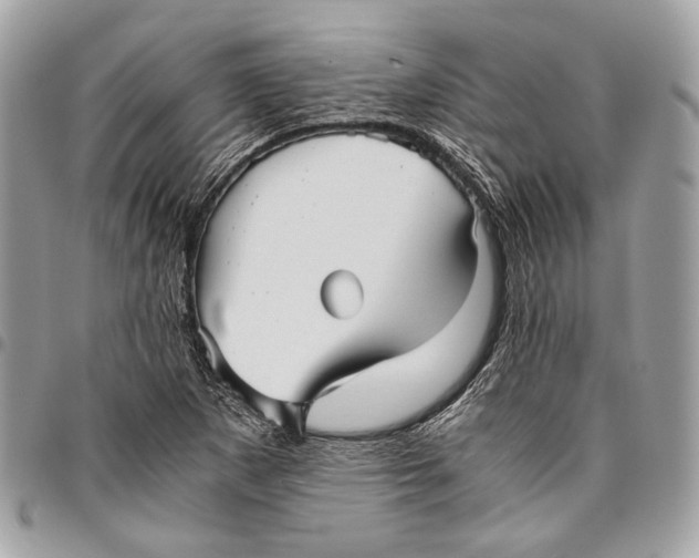 X0000096221265200802081517