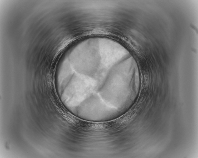 X0000096221266200802081517