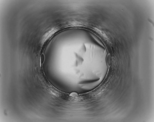 X0000096221269200802081517