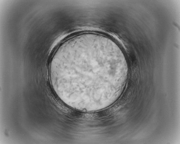 X0000096221271200802081517